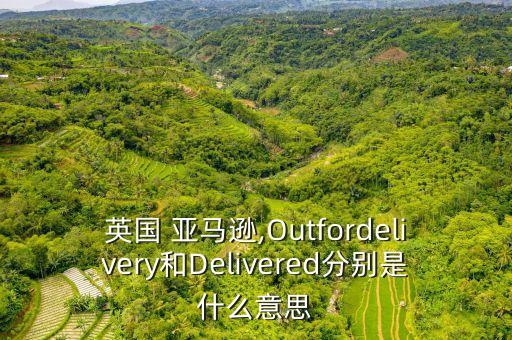 英國 亞馬遜,Outfordelivery和Delivered分別是什么意思