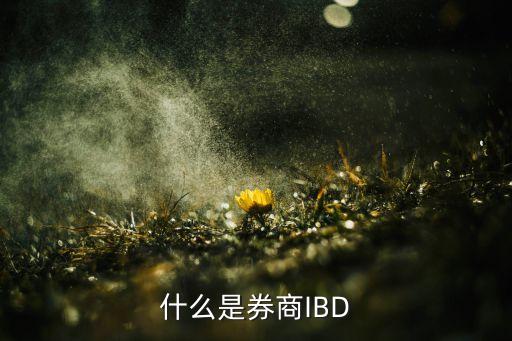 什么是券商IBD