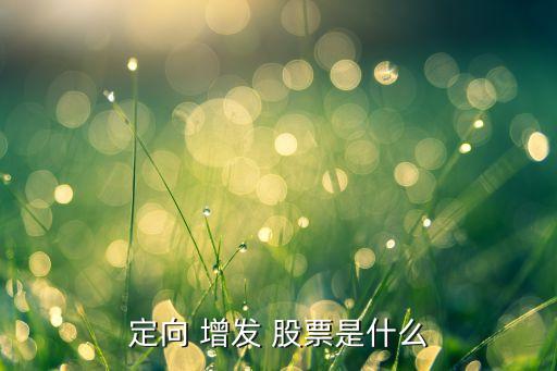 公開增發(fā)股票,什么叫非公開增發(fā)股票