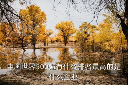 中國世界500強(qiáng)有什么排名最高的是什么企業(yè)