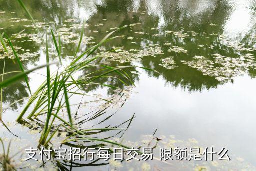 支付寶招行每日交易 限額是什么