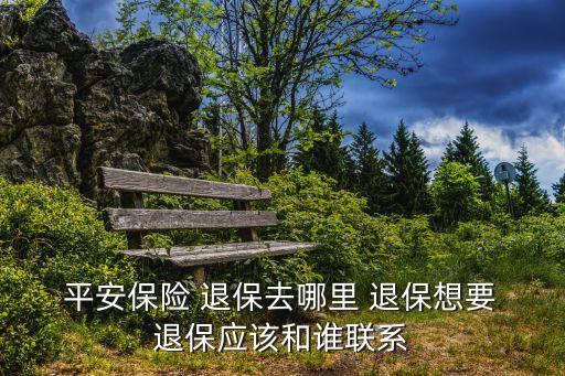  平安保險 退保去哪里 退保想要 退保應(yīng)該和誰聯(lián)系