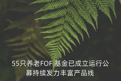 55只養(yǎng)老FOF 基金已成立運(yùn)行公募持續(xù)發(fā)力豐富產(chǎn)品線