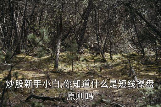 炒股新手小白,你知道什么是短線操盤(pán)原則嗎