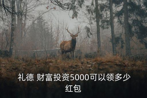  禮德 財(cái)富投資5000可以領(lǐng)多少紅包