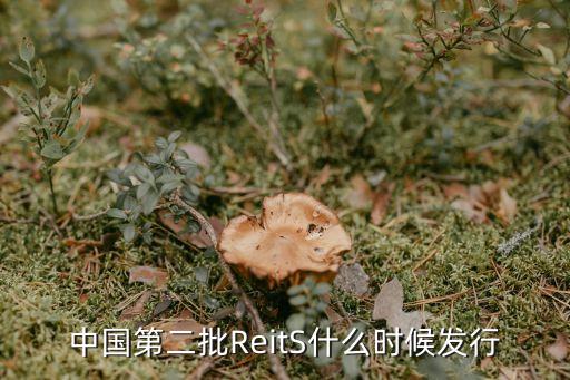 中國(guó)第二批ReitS什么時(shí)候發(fā)行