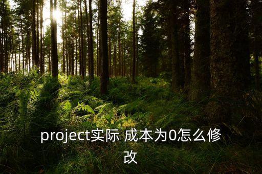 project實際 成本為0怎么修改