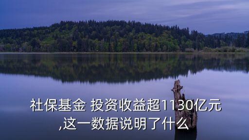  社?；?投資收益超1130億元,這一數(shù)據(jù)說明了什么