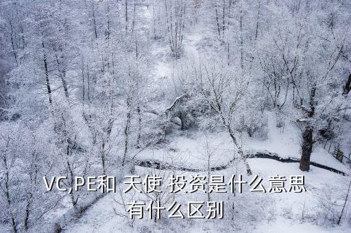 VC,PE和 天使 投資是什么意思有什么區(qū)別