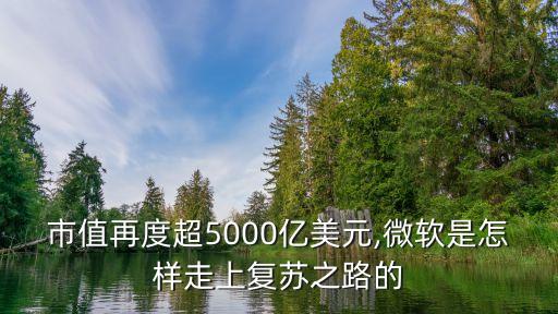 市值再度超5000億美元,微軟是怎樣走上復(fù)蘇之路的