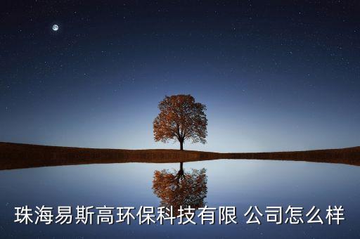 珠海易斯高環(huán)?？萍加邢?公司怎么樣