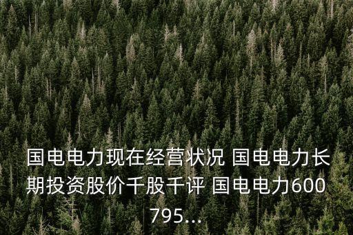  國(guó)電電力現(xiàn)在經(jīng)營(yíng)狀況 國(guó)電電力長(zhǎng)期投資股價(jià)千股千評(píng) 國(guó)電電力600795...