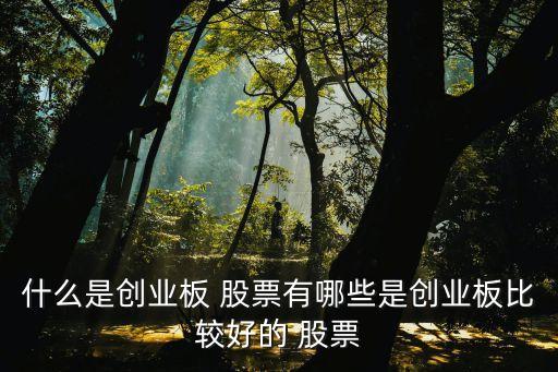 什么是創(chuàng)業(yè)板 股票有哪些是創(chuàng)業(yè)板比較好的 股票