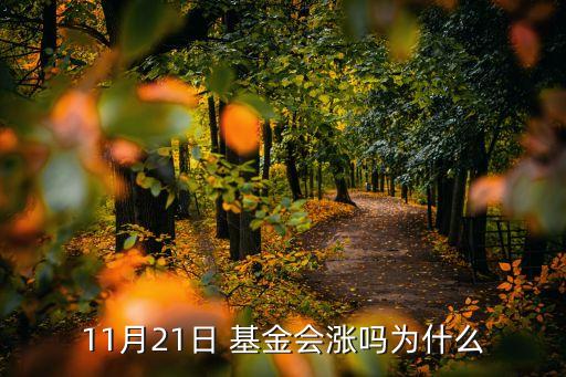 11月21日 基金會(huì)漲嗎為什么