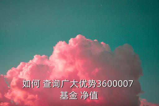 如何 查詢廣大優(yōu)勢(shì)3600007 基金 凈值