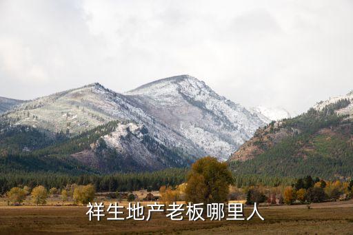 祥生地產老板哪里人