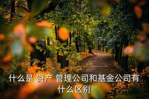 什么是 資產(chǎn) 管理公司和基金公司有什么區(qū)別