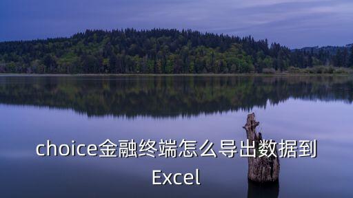 choice金融終端怎么導出數(shù)據(jù)到Excel