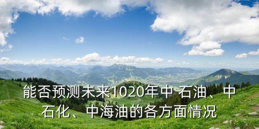 能否預(yù)測(cè)未來(lái)1020年中 石油、中石化、中海油的各方面情況