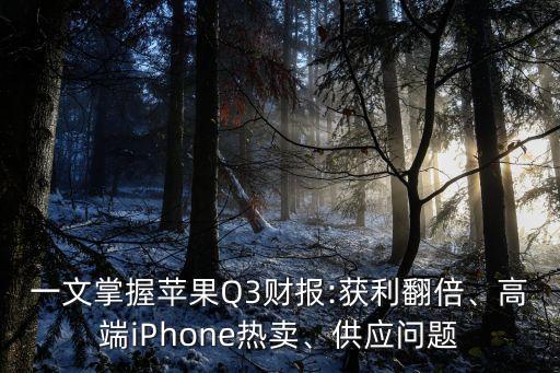 一文掌握蘋果Q3財(cái)報(bào):獲利翻倍、高端iPhone熱賣、供應(yīng)問題