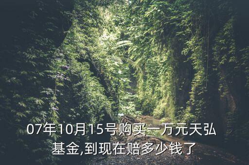 股票基金收益計算器,2022年股票基金平均收益