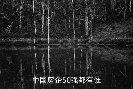 中國房企50強都有誰