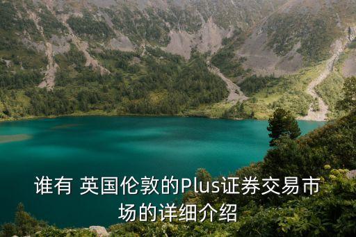 誰(shuí)有 英國(guó)倫敦的Plus證券交易市場(chǎng)的詳細(xì)介紹