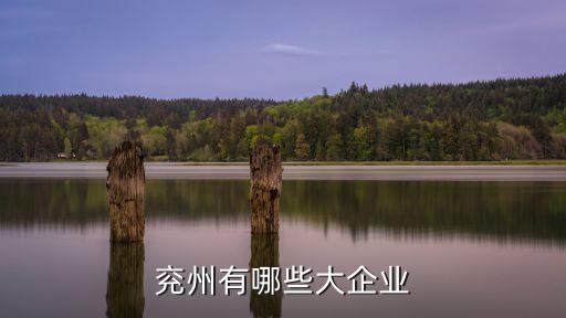 曲阜三孔啤酒有限公司,山東三孔集團(tuán)曲阜三孔白酒有限公司