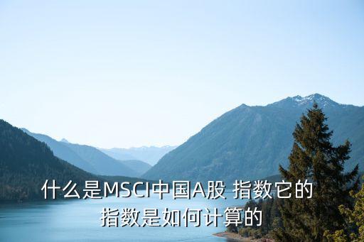 什么是MSCI中國A股 指數(shù)它的 指數(shù)是如何計算的