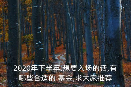 2020年下半年,想要入場(chǎng)的話,有哪些合適的 基金,求大家推薦