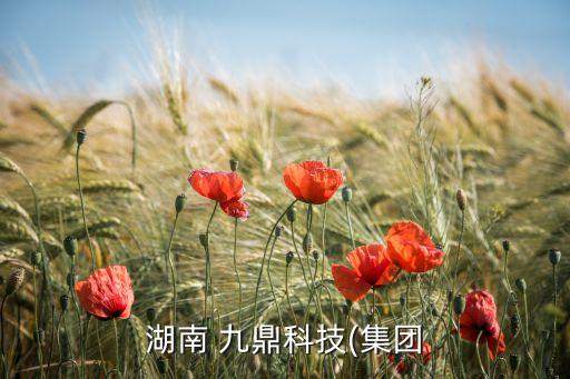 九鼎投資模式,北京九鼎投資集團(tuán)簡(jiǎn)介