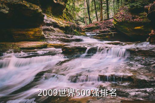 2009世界500強排名