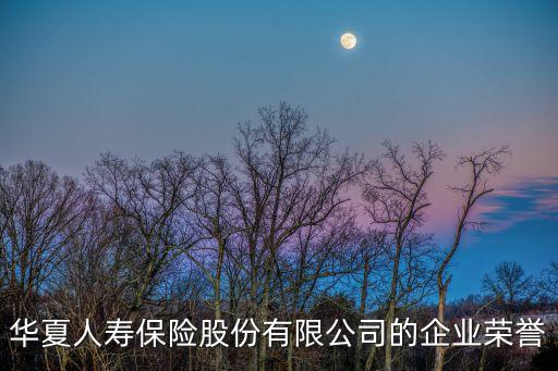 華夏人壽保險(xiǎn)股份有限公司的企業(yè)榮譽(yù)