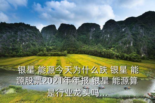  銀星 能源今天為什么跌 銀星 能源股票2021年年報(bào) 銀星 能源算是行業(yè)龍頭嗎...