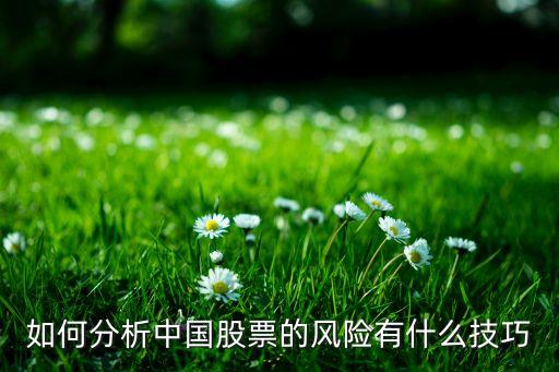 如何分析中國股票的風(fēng)險(xiǎn)有什么技巧