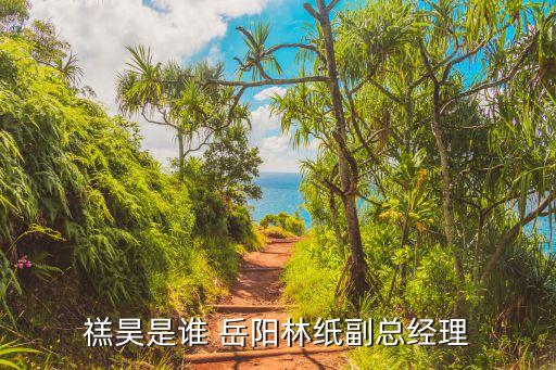 岳陽泰格林紙集團股份有限公司,湖南長大建設集團股份有限公司岳陽分公司