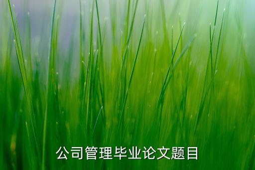 公司管理畢業(yè)論文題目