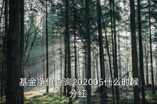  基金凈值查詢202005什么時(shí)候分紅