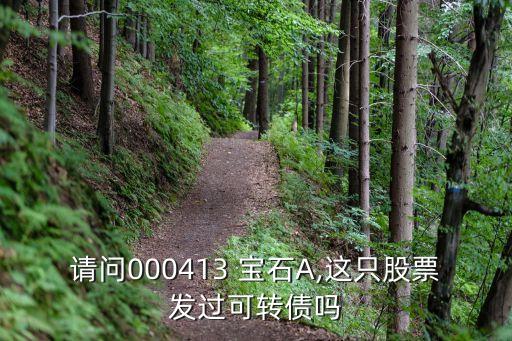 請問000413 寶石A,這只股票發(fā)過可轉(zhuǎn)債嗎