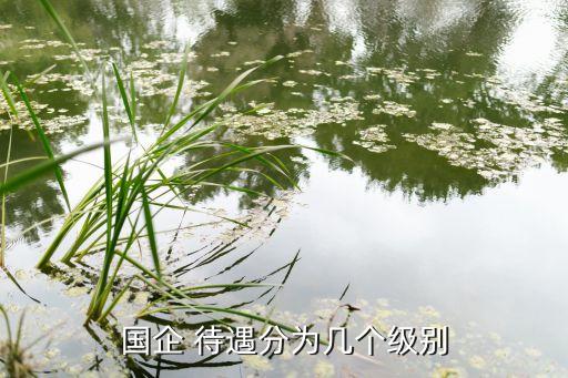 清華控股集團(tuán)待遇,太原清華控股集團(tuán)有限公司