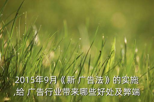 2015年9月《新 廣告法》的實施,給 廣告行業(yè)帶來哪些好處及弊端