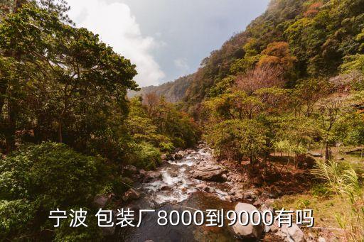 寧波 包裝廠(chǎng)8000到9000有嗎