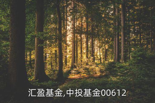 中投匯盈基金,中投基金00612