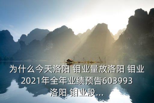 為什么今天洛陽 鉬業(yè)量放洛陽 鉬業(yè)2021年全年業(yè)績預(yù)告603993洛陽 鉬業(yè)股...