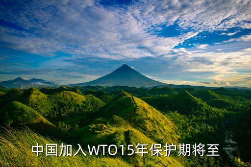 中國加入WTO15年保護期將至