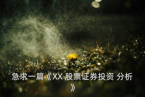 急求一篇《XX 股票證券投資 分析》