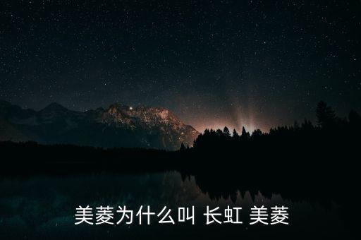 美菱和長(zhǎng)虹集團(tuán)的關(guān)系,對(duì)長(zhǎng)虹美菱集團(tuán)所采取的戰(zhàn)略進(jìn)行評(píng)價(jià)