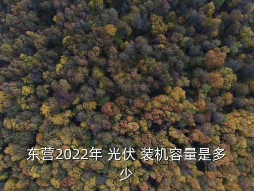 東營2022年 光伏 裝機容量是多少