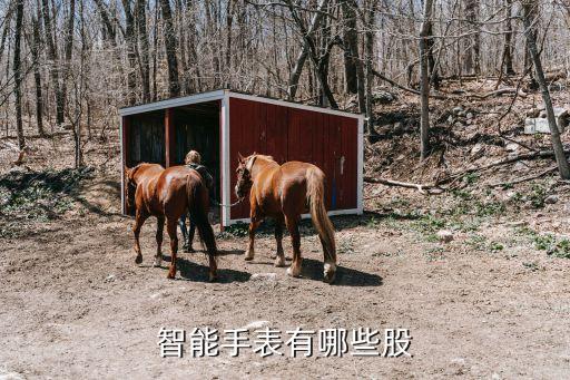 中藍科技股票代碼,藍思科技股票代碼是多少