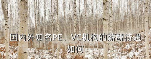 國內(nèi)外知名PE、VC機構(gòu)的薪酬待遇如何